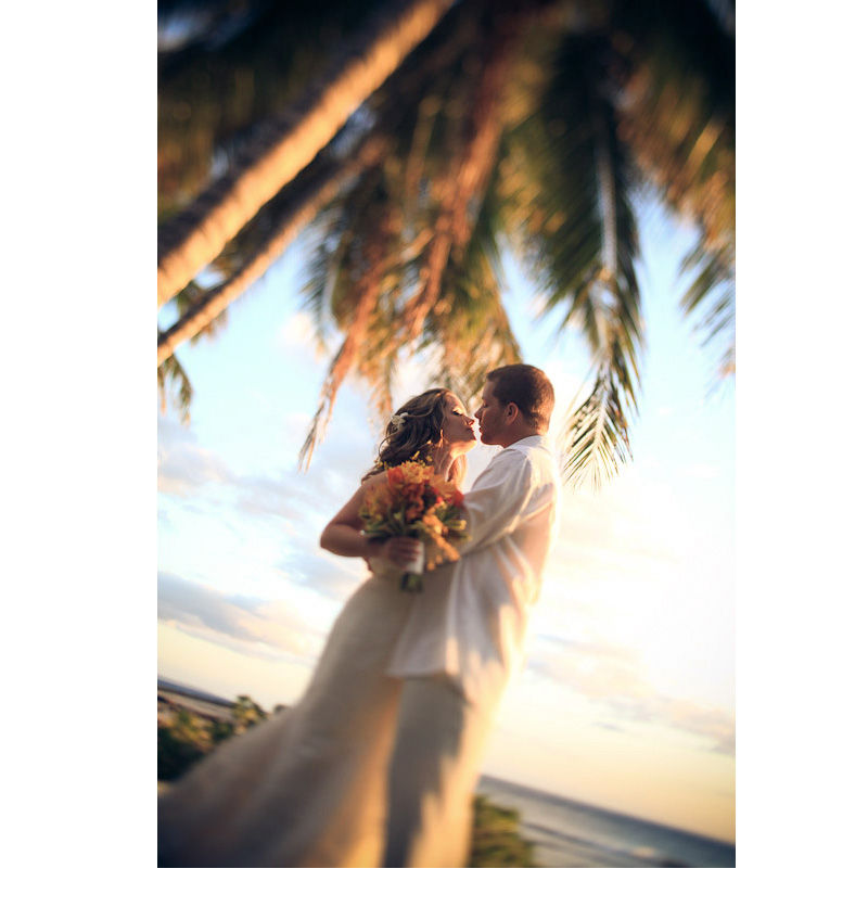 Shawn Starr : Modern Wedding Photography : Pittsburgh Wedding Photographer : Olowalu Plantation House