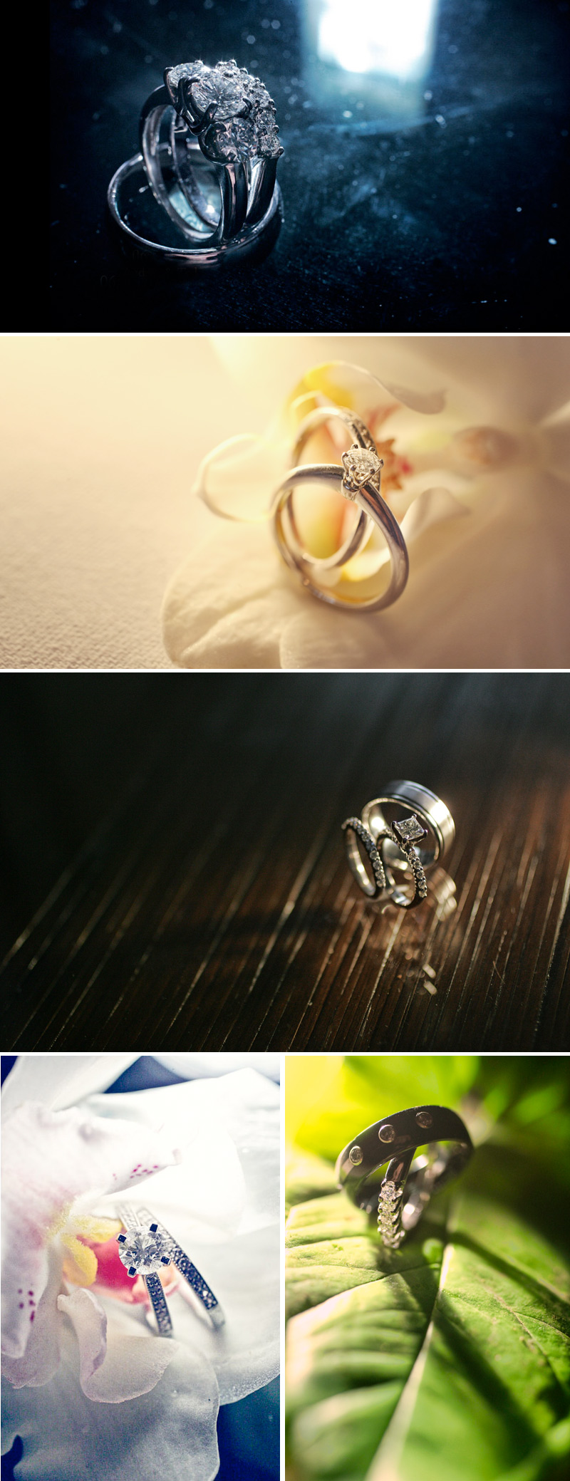 Shawn Starr : Modern Wedding Photography : Pittsburgh Wedding Photographer : Wedding Rings