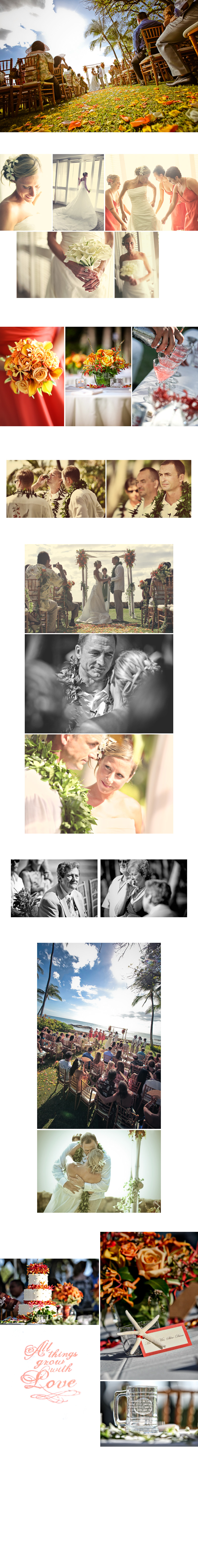 Shawn Starr : Modern Wedding Photography : Pittsburgh Wedding Photographer : Lanikuhonua