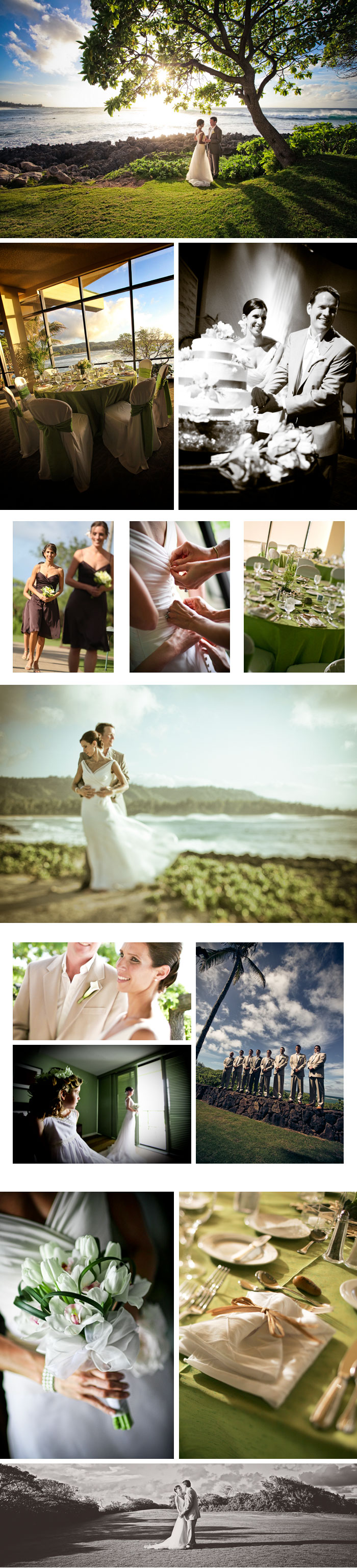 Shawn Starr : Modern Wedding Photography : Pittsburgh Wedding Photographer : Turtle Bay Resort