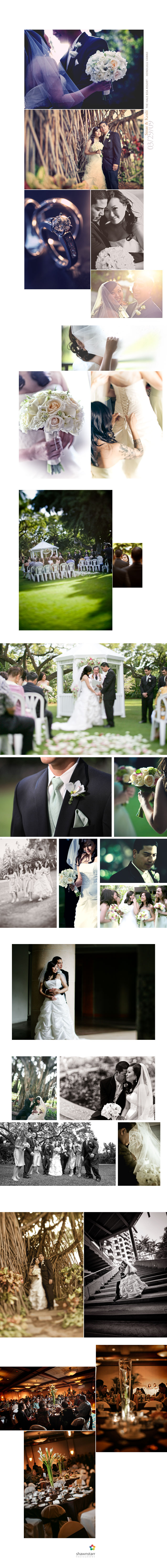 Shawn Starr : Modern Wedding Photography : Pittsburgh Wedding Photographer : Hale Koa