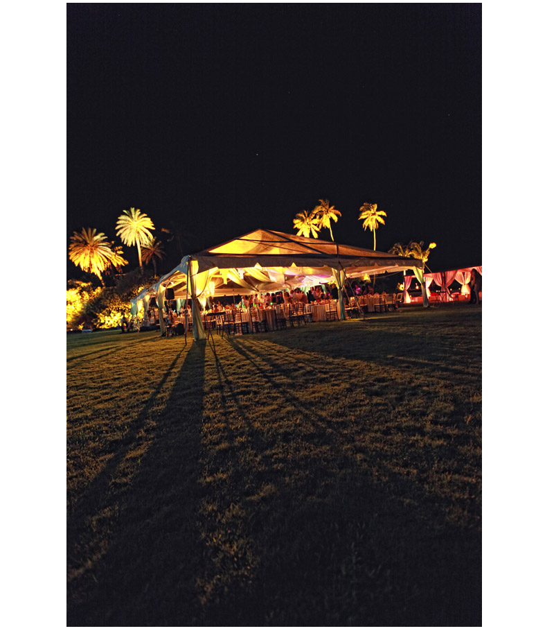 Shawn Starr Photography : Loulu Palm Estate : Destination Wedding