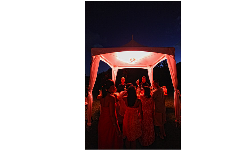 Shawn Starr Photography : Loulu Palm Estate : Destination Wedding