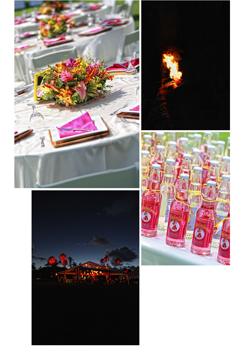 Shawn Starr Photography : Loulu Palm Estate : Destination Wedding