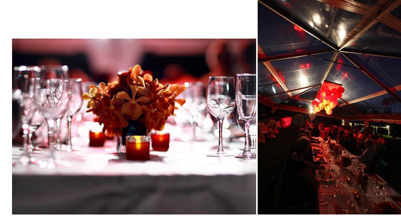 Shawn Starr Photography : Loulu Palm Estate : Destination Wedding