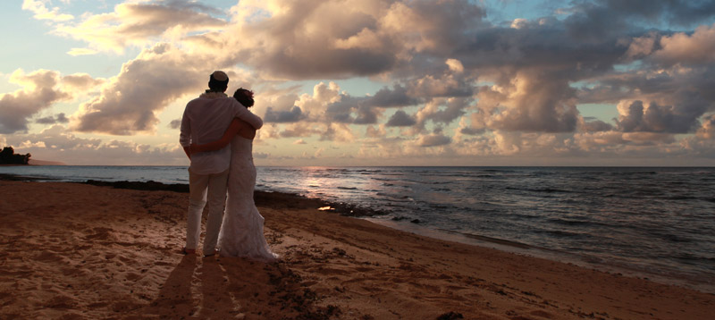 Shawn Starr Photography : Loulu Palm Estate : Destination Wedding