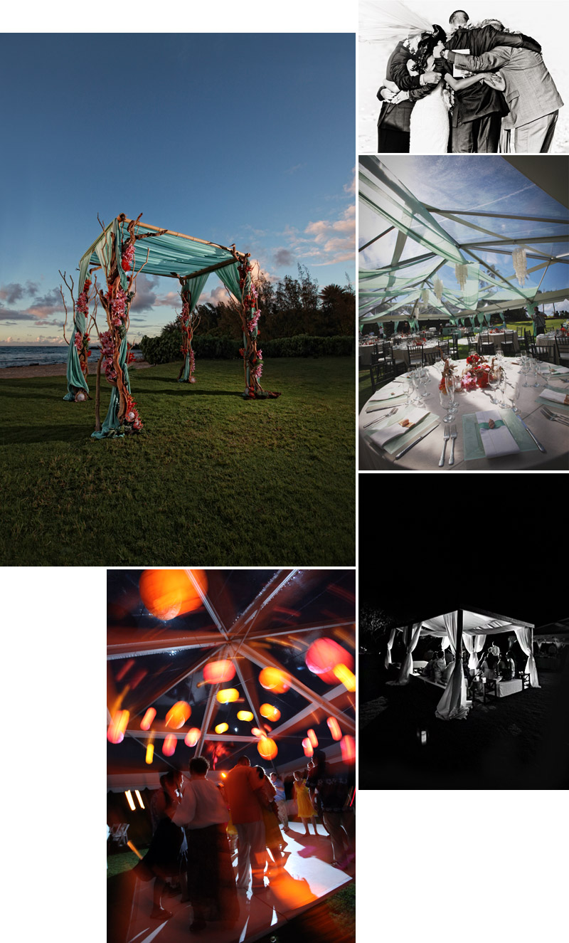 Shawn Starr Photography : Loulu Palm Estate : Destination Wedding