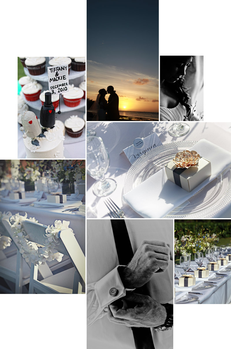 Shawn Starr Photography : Loulu Palm Estate : Destination Wedding