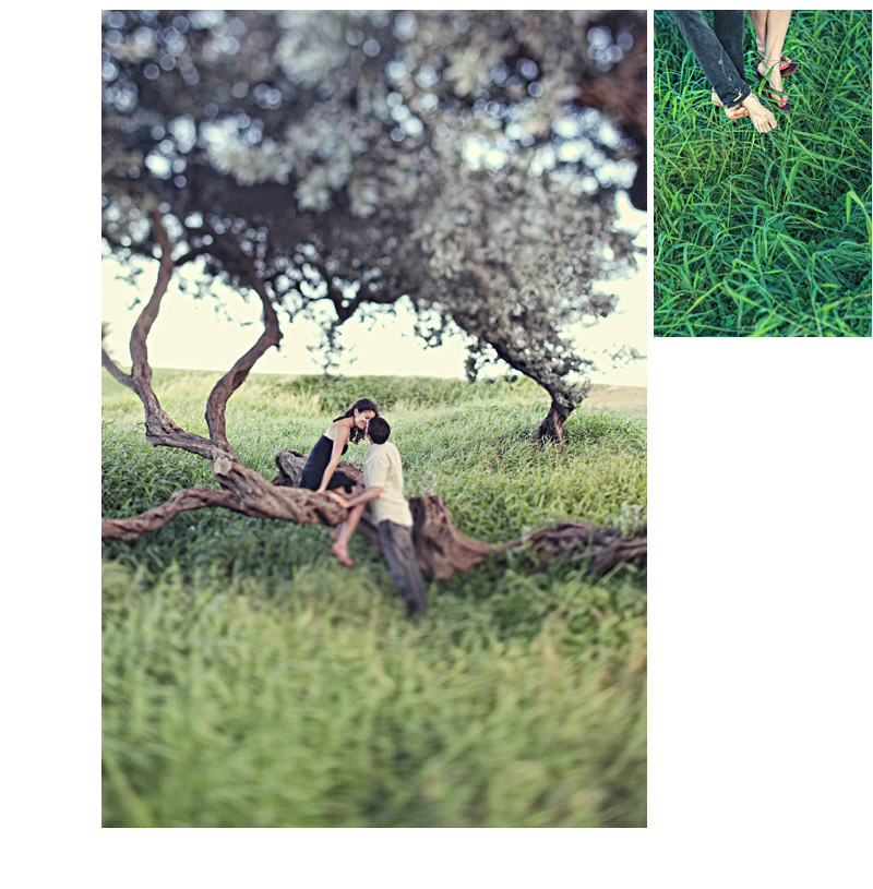 Shawn Starr Hawaii Wedding Photography