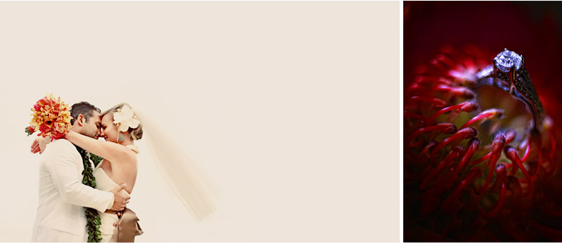 Shawn Starr : Hawaii Wedding Photography : Paul Mitchell Estate