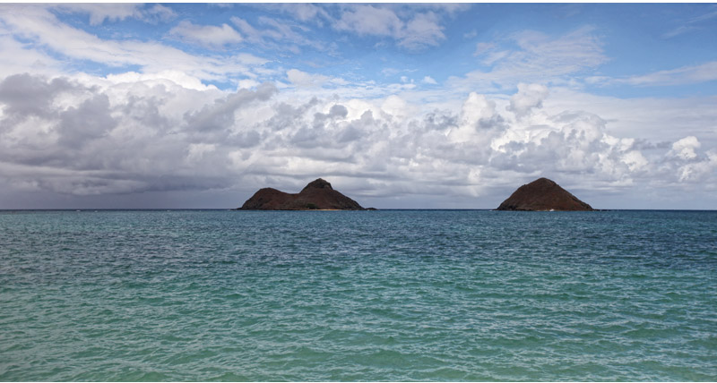 Shawn Starr : Hawaii Wedding Photography : Paul Mitchell Estate