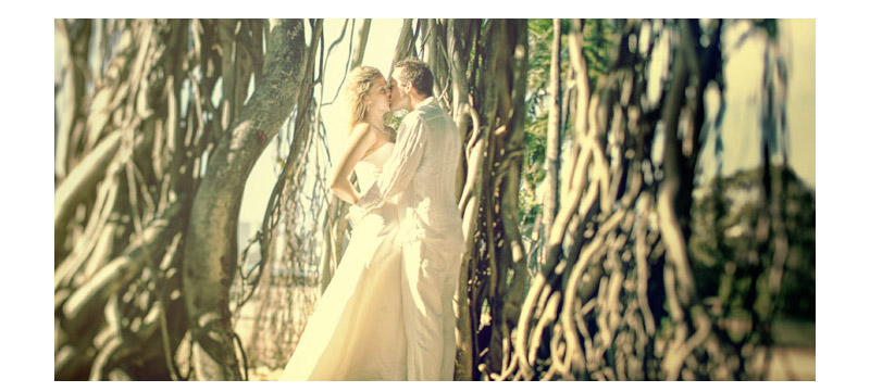 Shawn Starr Photography : Hawaii Wedding Photography