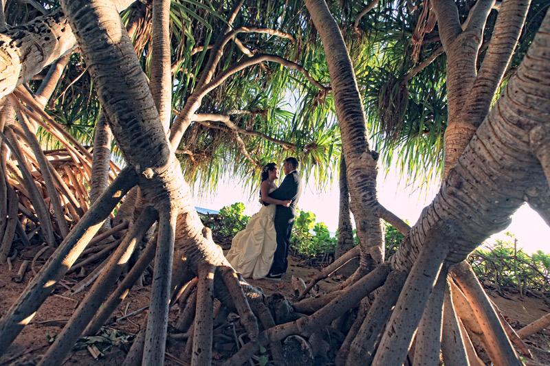 Shawn Starr : Hawaii Wedding Photography : Lanikuhonua Hawaii