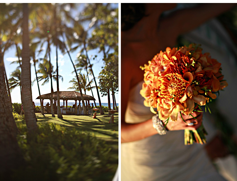 Shawn Starr Hawaii Wedding Photography : Lanikuhonua